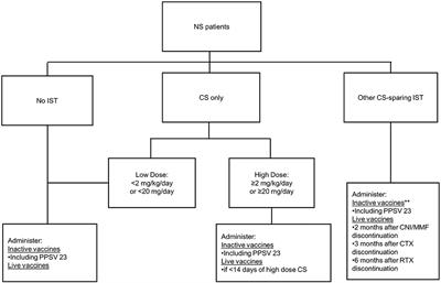 Pediatric Immunization Practices in Nephrotic Syndrome: An Assessment of Provider and Parental Knowledge